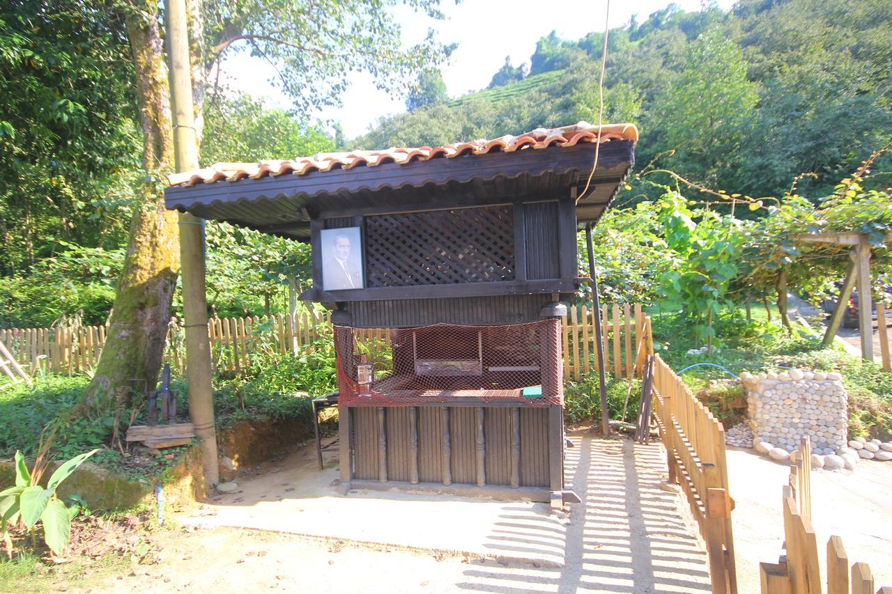 Inceler Konagi Findikli (Black Sea) Exterior foto