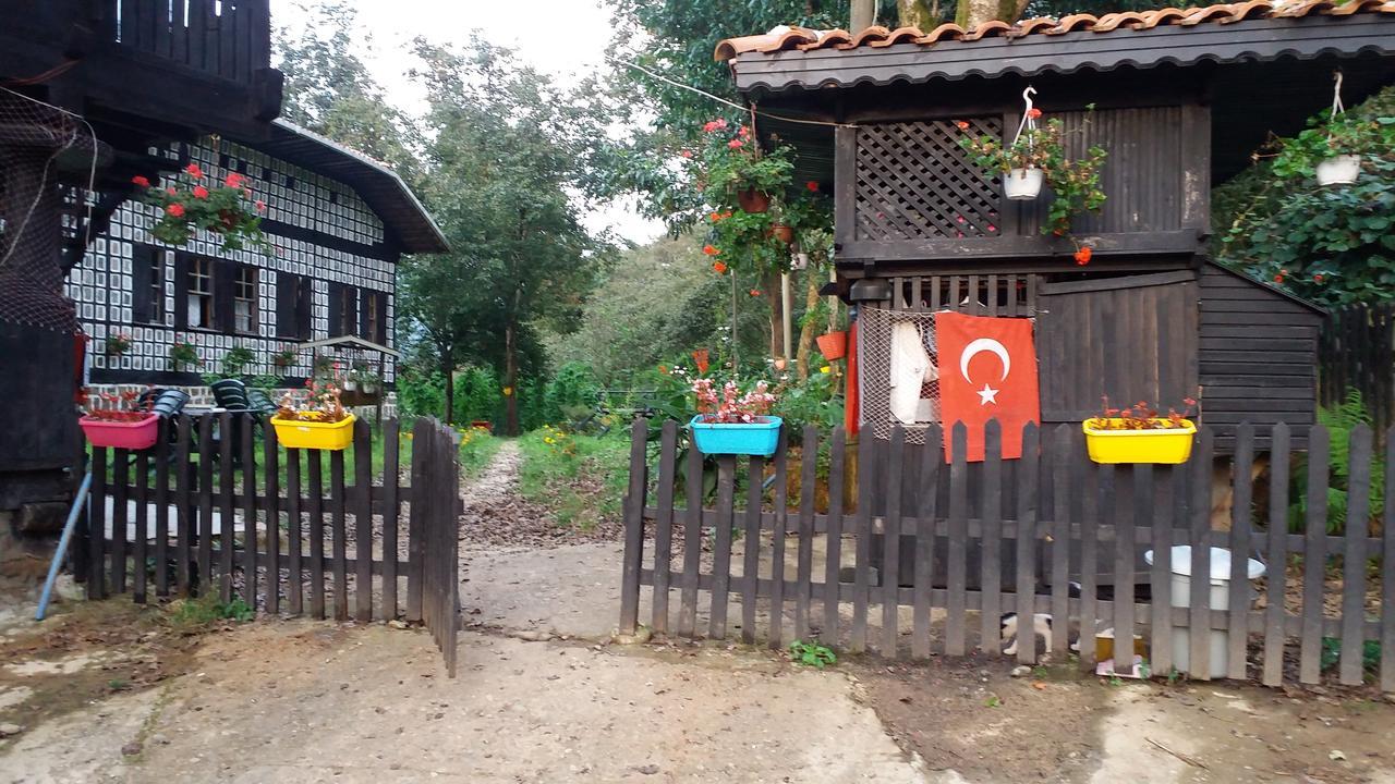 Inceler Konagi Findikli (Black Sea) Exterior foto
